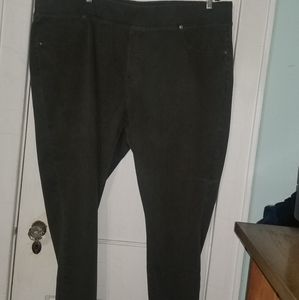 Lane Bryant Venezia Jeans